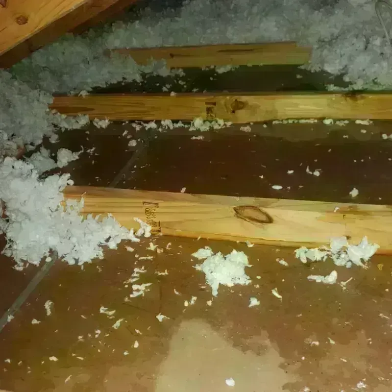 Attic Water Damage in Mount Vernon, WA