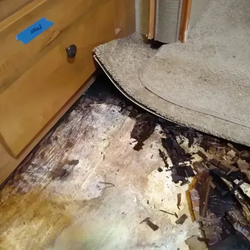 Wood Floor Water Damage in Mount Vernon, WA